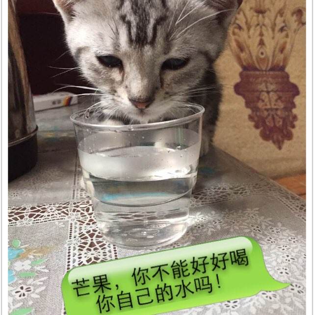 格拉纳达大学学生卡办理